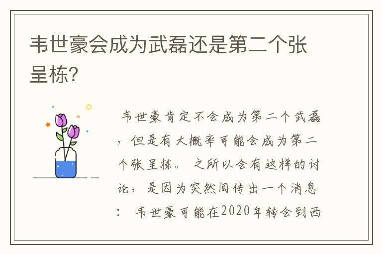 韦世豪会成为武磊还是第二个张呈栋?