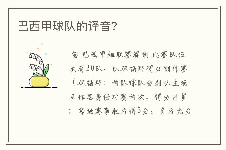 巴西甲球队的译音?