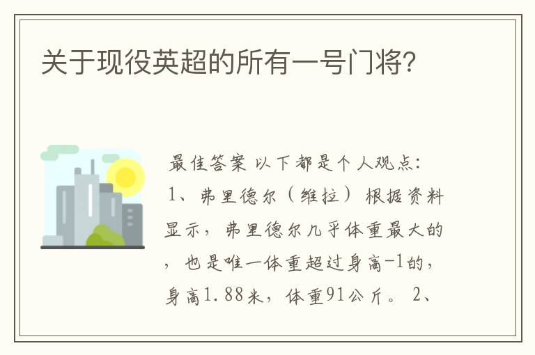 关于现役英超的所有一号门将?