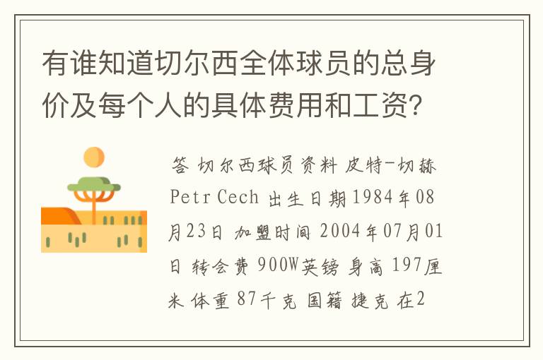 有谁知道切尔西全体球员的总身价及每个人的具体费用和工资?