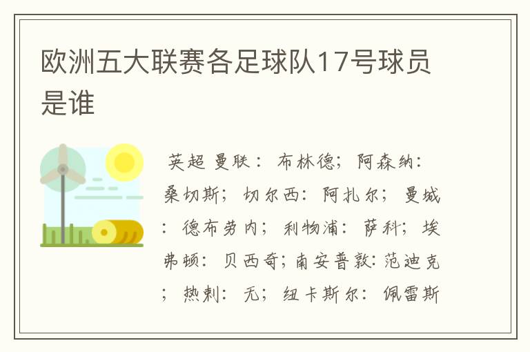 欧洲五大联赛各足球队17号球员是谁