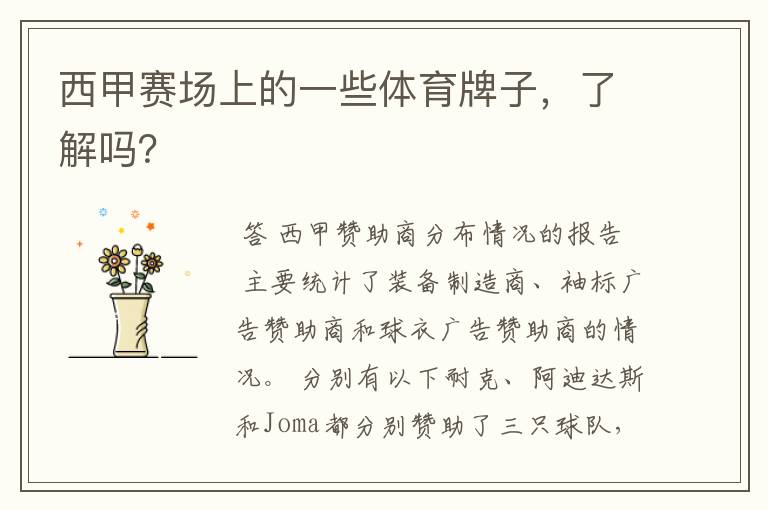 西甲赛场上的一些体育牌子,了解吗?