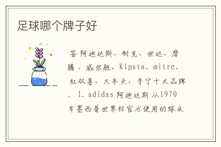 足球哪个牌子好