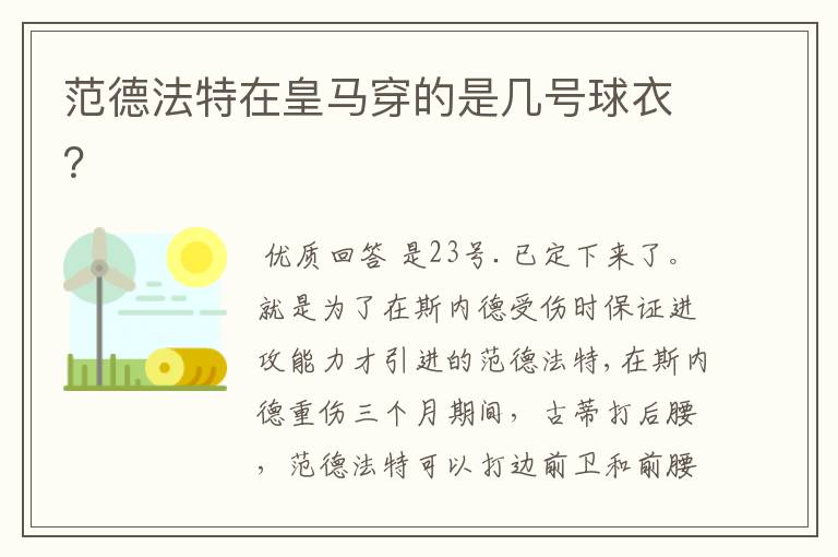 范德法特在皇马穿的是几号球衣?