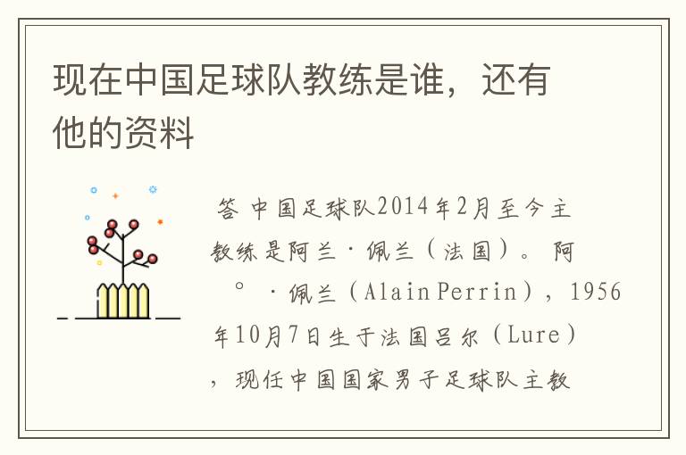 现在中国足球队教练是谁,还有他的资料