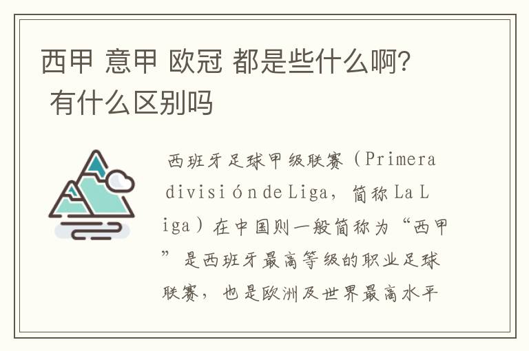 西甲 意甲 欧冠 都是些什么啊? 有什么区别吗