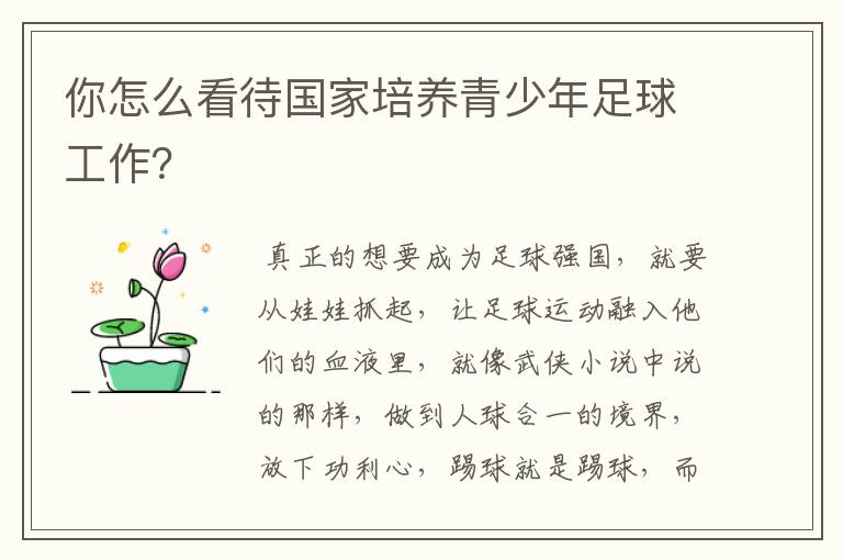 你怎么看待国家培养青少年足球工作?
