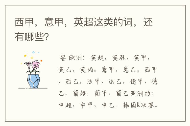 西甲,意甲,英超这类的词,还有哪些?