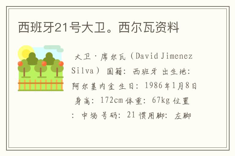 西班牙21号大卫。西尔瓦资料