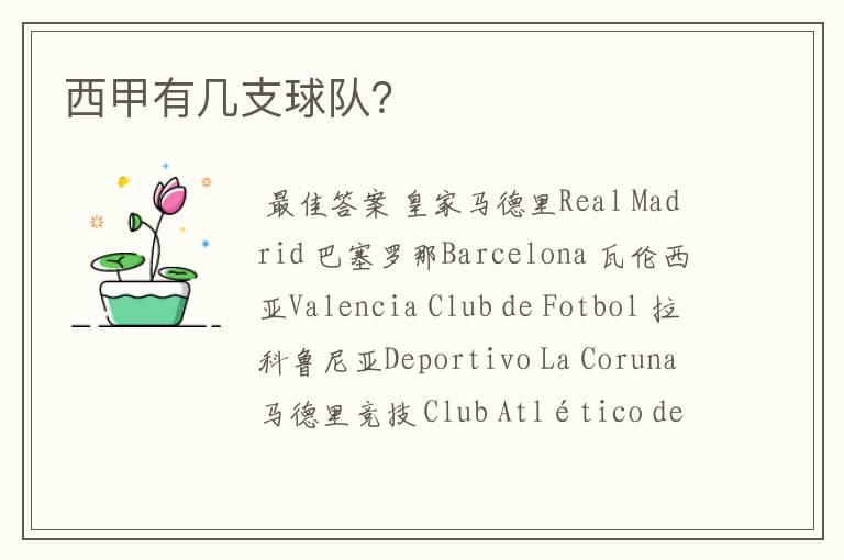 西甲有几支球队?