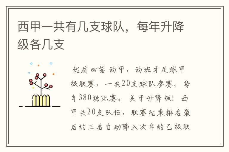 西甲一共有几支球队,每年升降级各几支