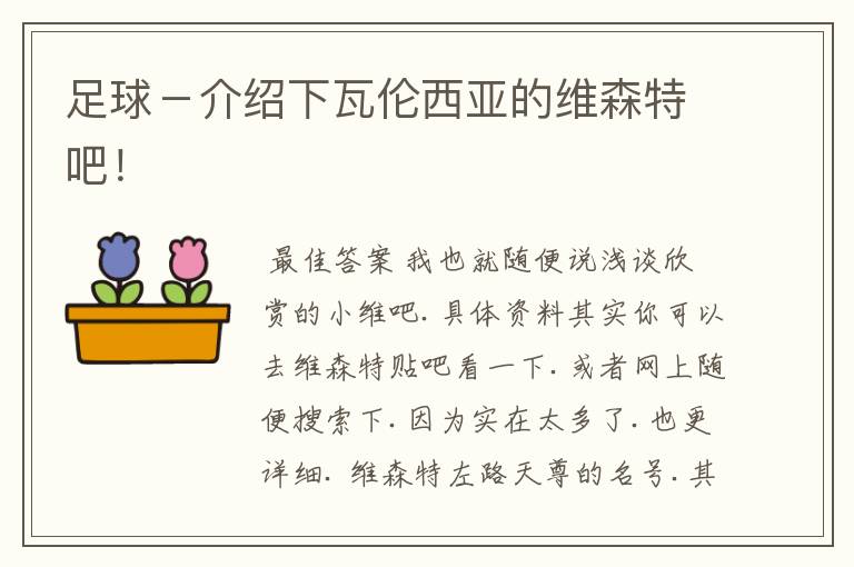 足球-介绍下瓦伦西亚的维森特吧!