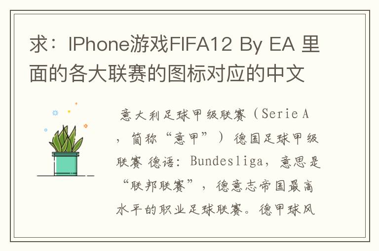 求:IPhone游戏FIFA12 By EA 里面的各大联赛的图标对应的中文名称 例如:Liga BBVA 西甲