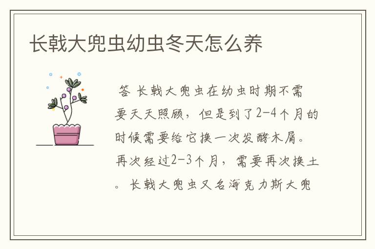 长戟大兜虫幼虫冬天怎么养