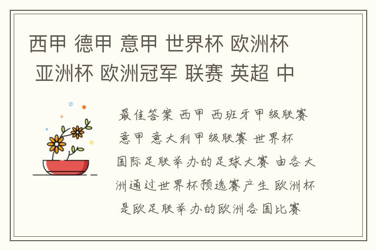 西甲 德甲 意甲 世界杯 欧洲杯 亚洲杯 欧洲冠军 联赛 英超 中超 分别是什么意思啊?