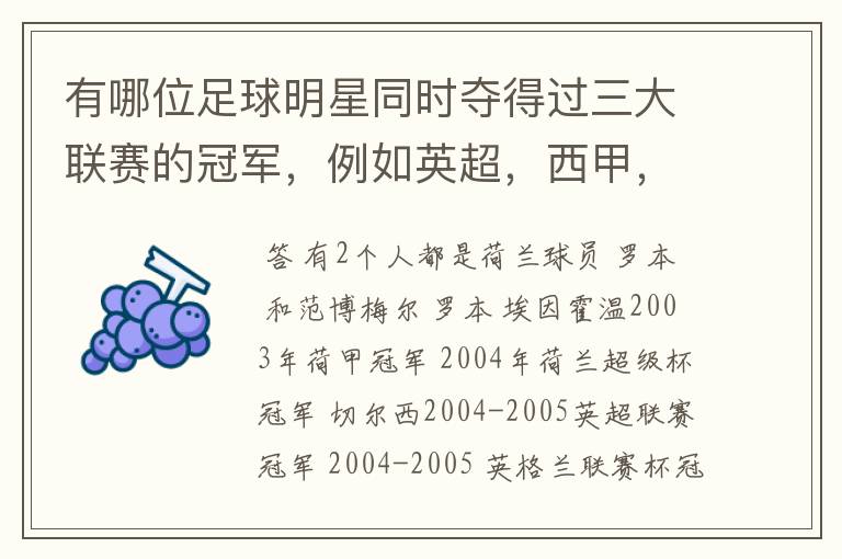 有哪位足球明星同时夺得过三大联赛的冠军,例如英超,西甲,德甲或意甲,应该没有吧