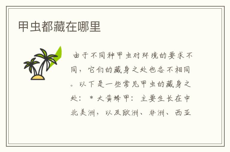 甲虫都藏在哪里