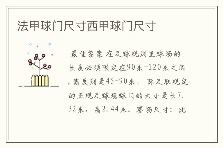 法甲球门尺寸西甲球门尺寸