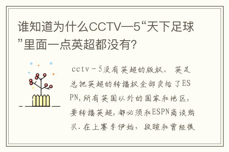 谁知道为什么CCTV—5“天下足球”里面一点英超都没有?