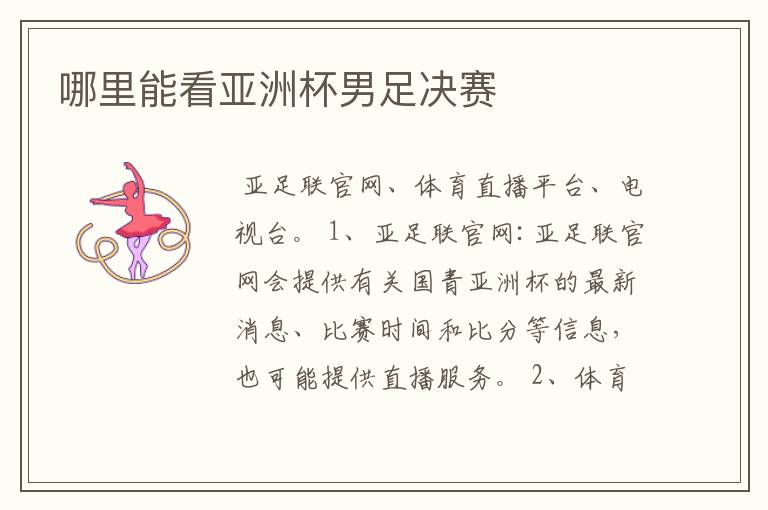哪里能看亚洲杯男足决赛