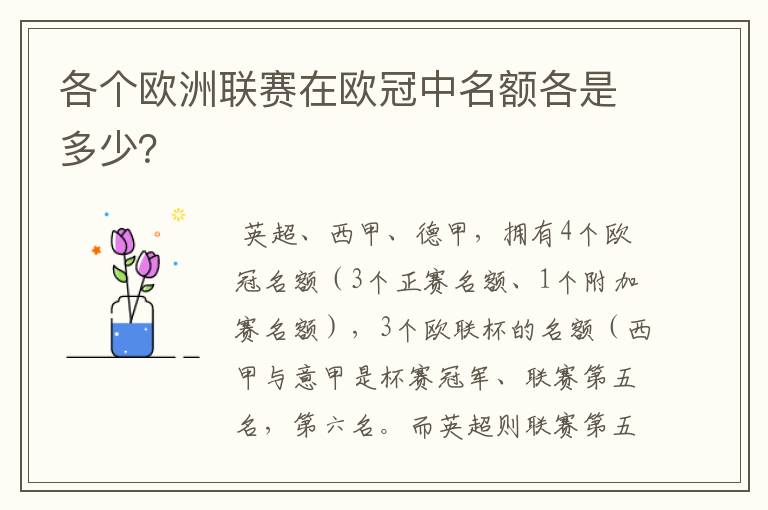 各个欧洲联赛在欧冠中名额各是多少?