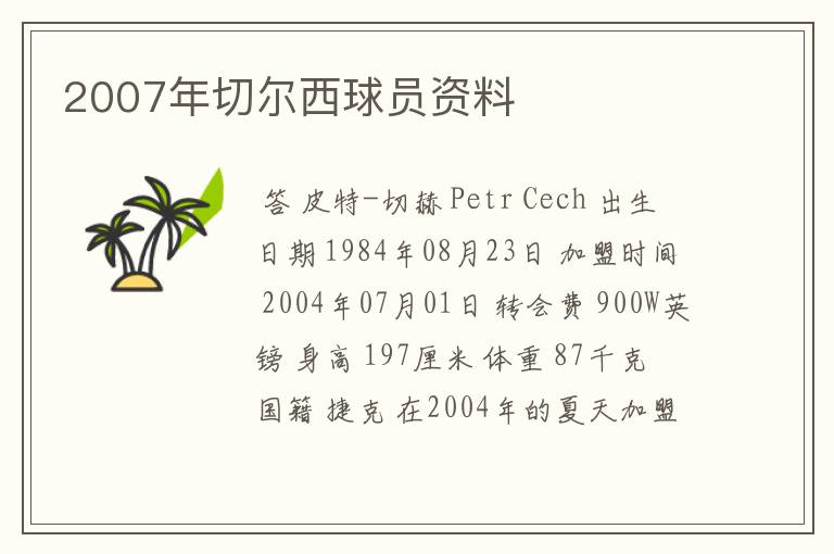2007年切尔西球员资料