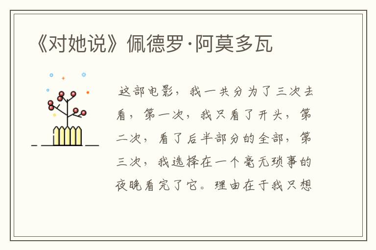 《对她说》佩德罗·阿莫多瓦