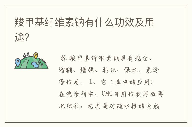羧甲基纤维素钠有什么功效及用途?