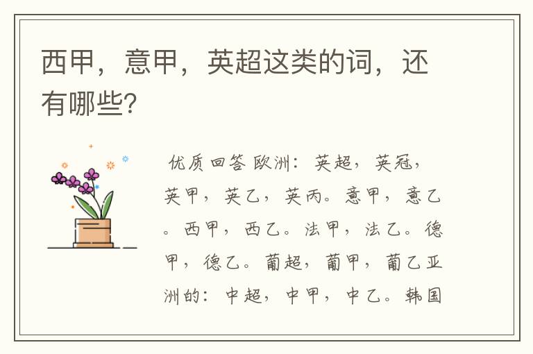 西甲,意甲,英超这类的词,还有哪些?
