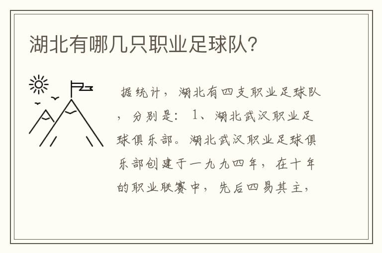 湖北有哪几只职业足球队?