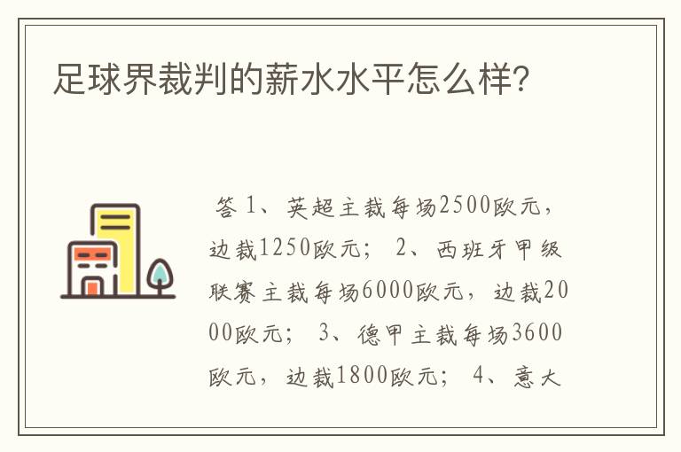 足球界裁判的薪水水平怎么样?