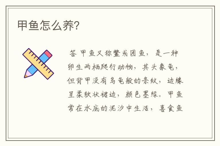 甲鱼怎么养?