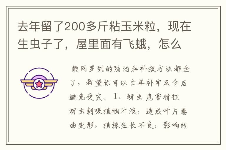 去年留了200多斤粘玉米粒，现在生虫子了，屋里面有飞蛾，怎么办？以后如何防虫？