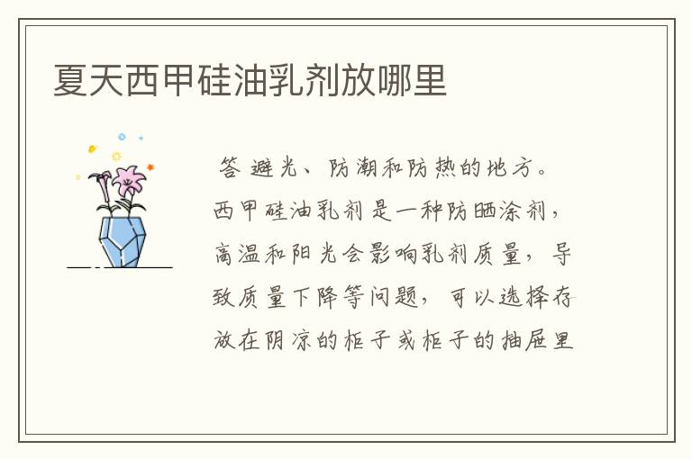 夏天西甲硅油乳剂放哪里