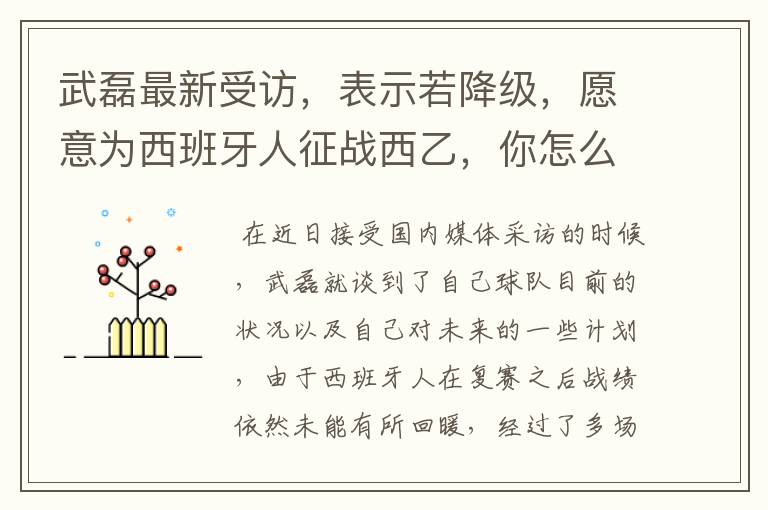 武磊最新受访,表示若降级,愿意为西班牙人征战西乙,你怎么看?