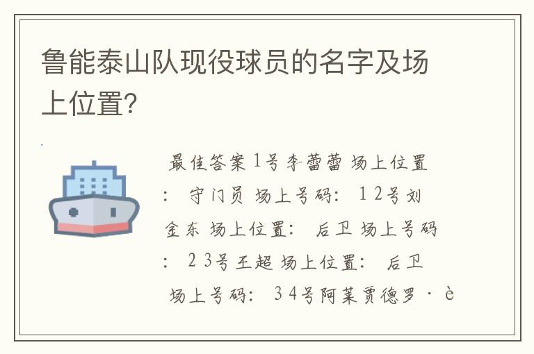 鲁能泰山队现役球员的名字及场上位置?