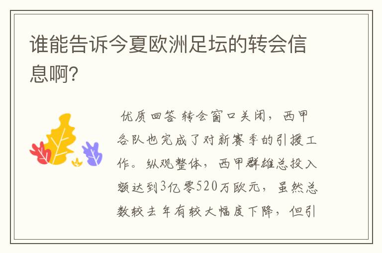 谁能告诉今夏欧洲足坛的转会信息啊?