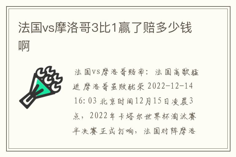 法国vs摩洛哥3比1赢了赔多少钱啊