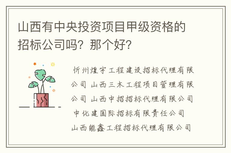 山西有中央投资项目甲级资格的招标公司吗?那个好?