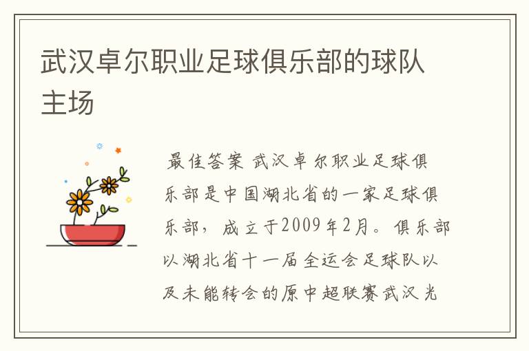 武汉卓尔职业足球俱乐部的球队主场