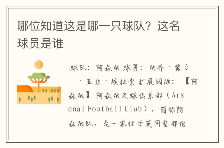 哪位知道这是哪一只球队?这名球员是谁