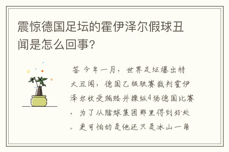 震惊德国足坛的霍伊泽尔假球丑闻是怎么回事?