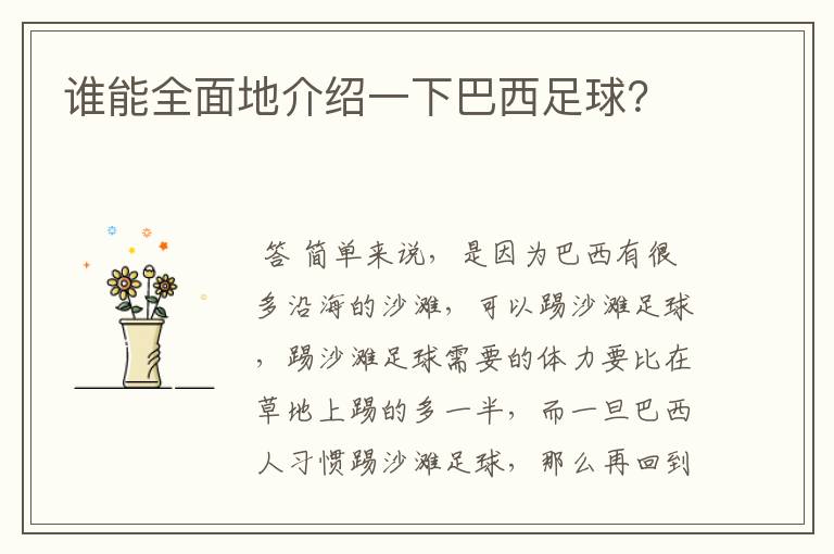 谁能全面地介绍一下巴西足球?