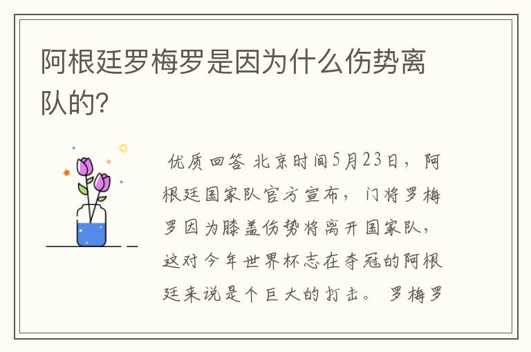 阿根廷罗梅罗是因为什么伤势离队的?