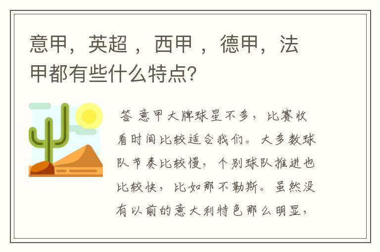 意甲,英超 ,西甲 ,德甲,法甲都有些什么特点?