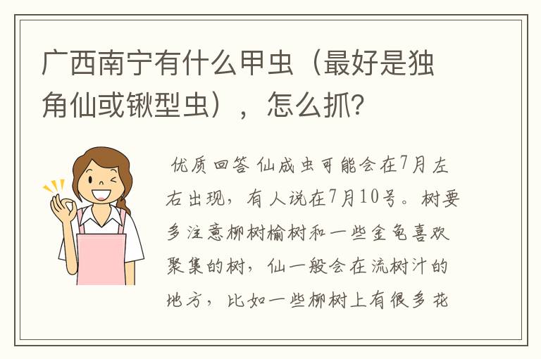 广西南宁有什么甲虫(最好是独角仙或锹型虫),怎么抓?