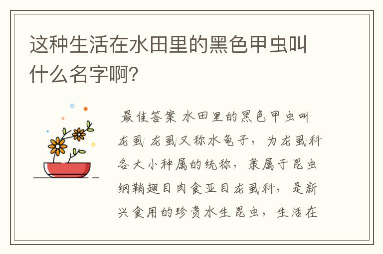 这种生活在水田里的黑色甲虫叫什么名字啊?