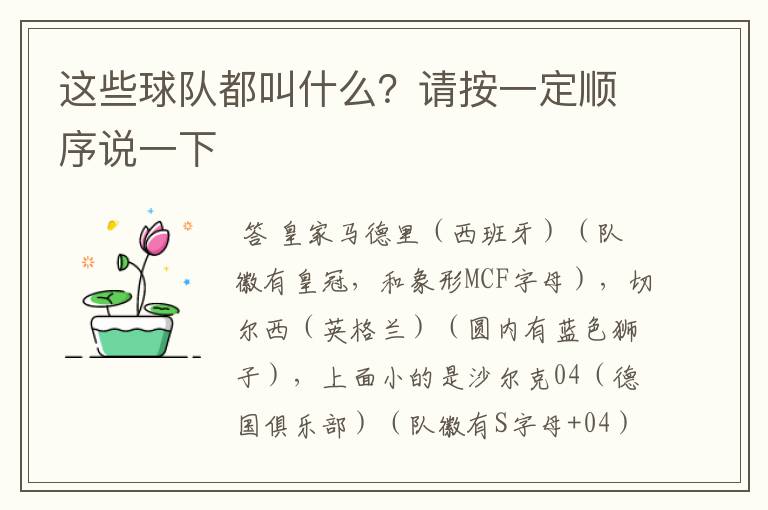 这些球队都叫什么?请按一定顺序说一下