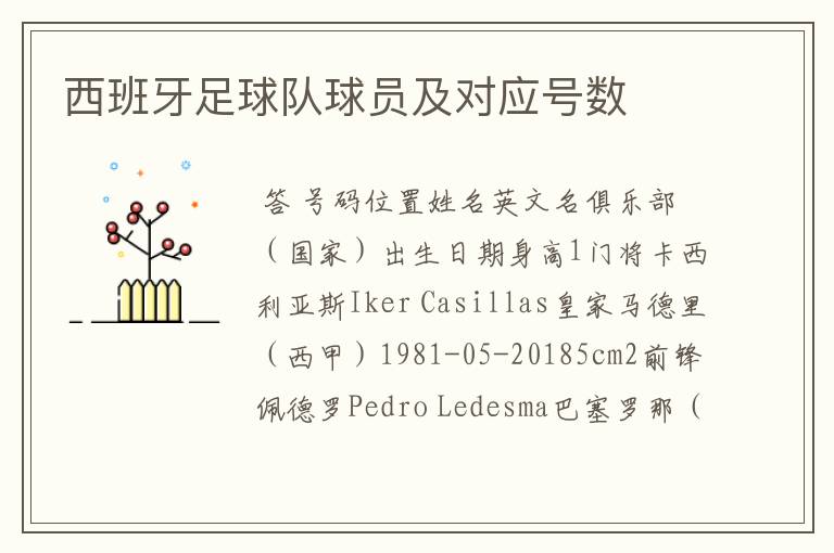西班牙足球队球员及对应号数