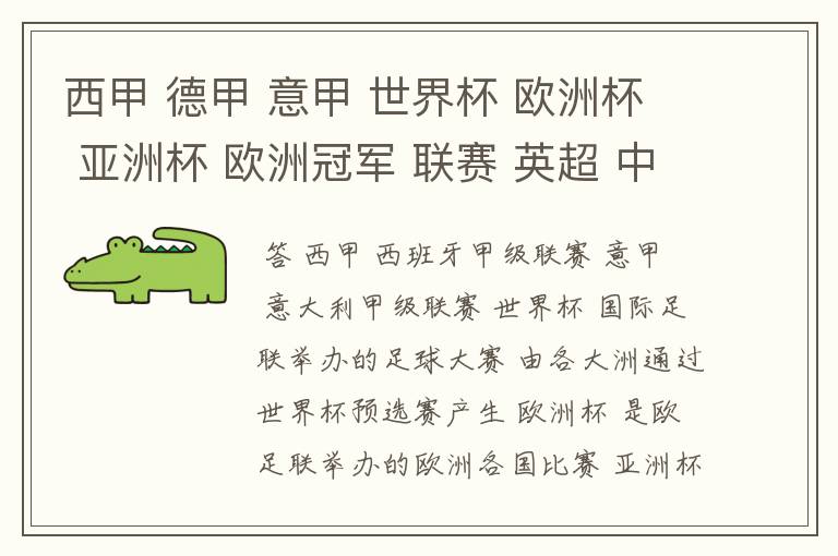 西甲 德甲 意甲 世界杯 欧洲杯 亚洲杯 欧洲冠军 联赛 英超 中超 分别是什么意思啊?
